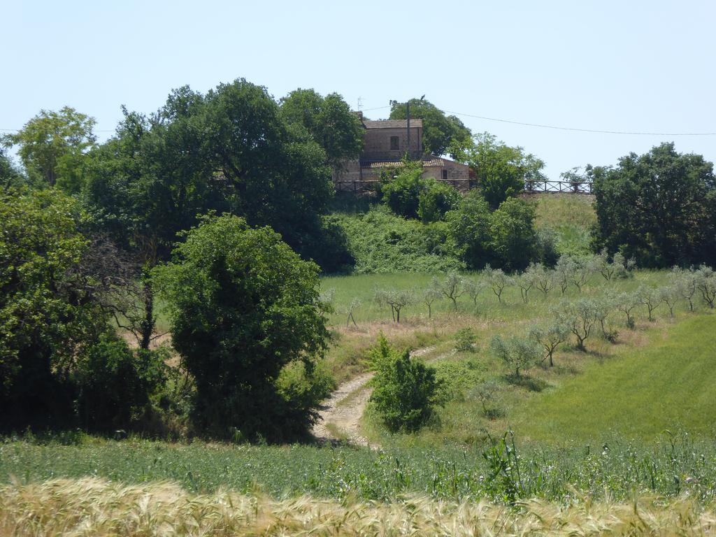 Villa Pietre Di Fiume Apice Exterior foto